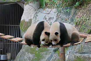 雷竞技真实姓名截图2